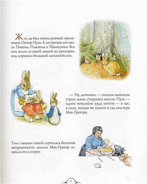 Иллюстрация 30 из 49 для Питер-Кролик и другие - Беатрис Поттер | Лабиринт - книги. Источник: Гостья
