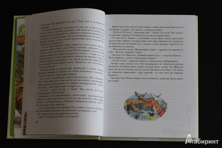 Иллюстрация 45 из 50 для Чудесное путешествие Нильса с дикими гусями - Сельма Лагерлеф | Лабиринт - книги. Источник: LittleDragon