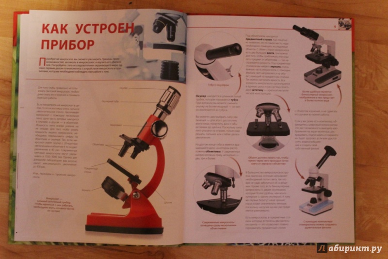Иллюстрация 9 из 32 для Удивительный микроскоп. Иллюстрированный путеводитель - Оксана Мазур | Лабиринт - книги. Источник: Светлана_Его-за