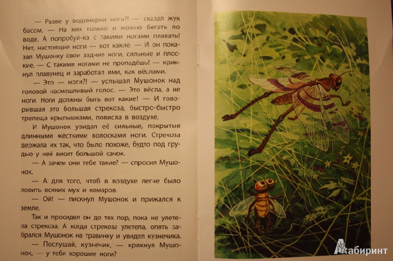 Иллюстрация 17 из 17 для Сказки про Мушонка и его друзей - Юрий Дмитриев | Лабиринт - книги. Источник: tatyanaK