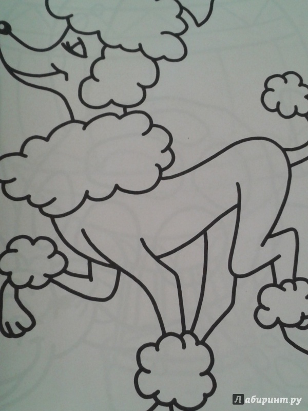 Иллюстрация 3 из 27 для Чудо-радуга с мишкой | Лабиринт - книги. Источник: Написатель