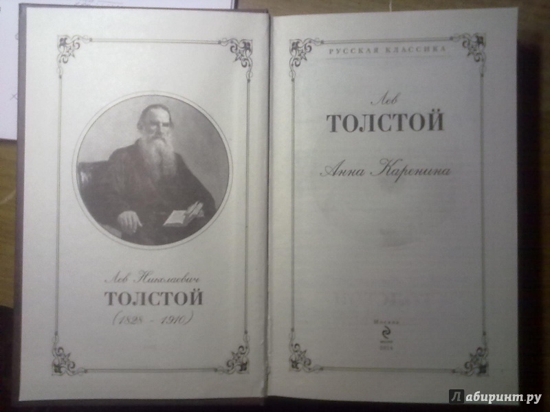 Иллюстрация 2 из 15 для Анна Каренина - Лев Толстой | Лабиринт - книги. Источник: paniqfear2m