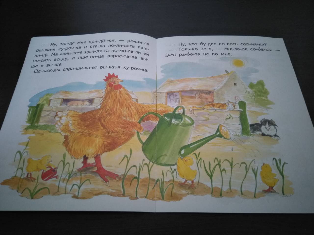 Иллюстрация 10 из 12 для Курочка и пшеничные зерна | Лабиринт - книги. Источник: ksyundel