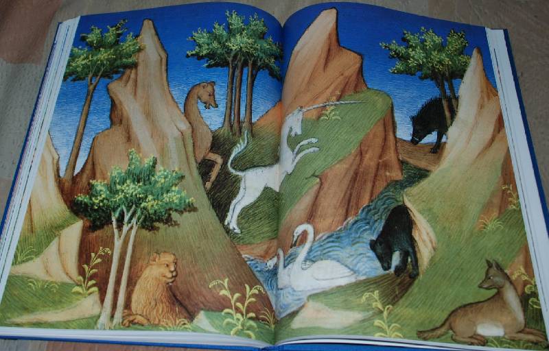 Иллюстрация 14 из 46 для Книга чудес | Лабиринт - книги. Источник: МаRUSя