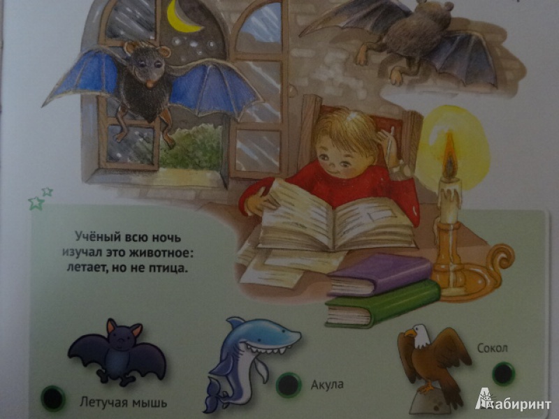 Иллюстрация 11 из 42 для Для малышей загадки о животных | Лабиринт - книги. Источник: Руматочка