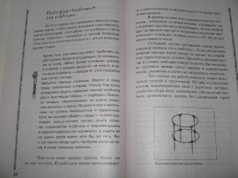 Иллюстрация 3 из 6 для Скоростное плетение из лозы - Нелли Кислова | Лабиринт - книги. Источник: Рыженький