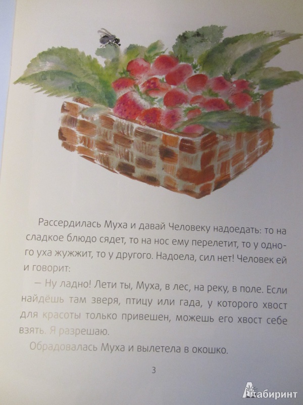 Иллюстрация 15 из 29 для Хвосты - Виталий Бианки | Лабиринт - книги. Источник: Сандракова Юля
