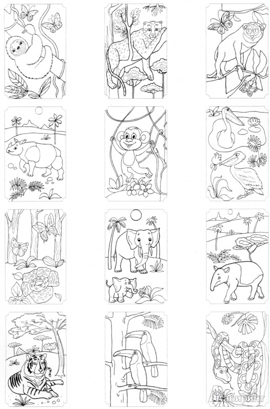 Иллюстрация 7 из 10 для Книжки-невидимки. Животные | Лабиринт - книги. Источник: Бейзерова  Марион