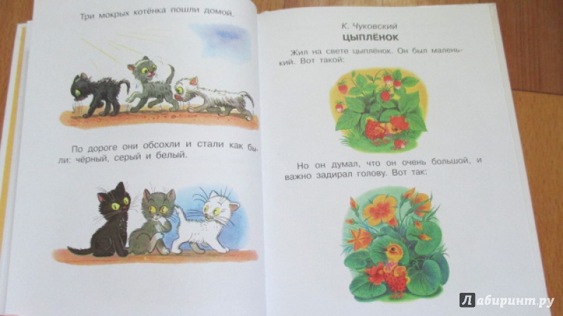 Иллюстрация 18 из 24 для Сказки-малютки для малышек - Г. Коненкина | Лабиринт - книги. Источник: Вероника Руднева
