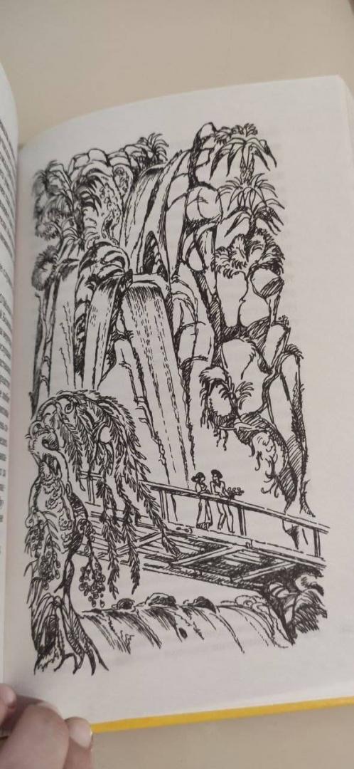 Иллюстрация 16 из 17 для Ковчег на острове - Джеральд Даррелл | Лабиринт - книги. Источник: Костина Анастасия
