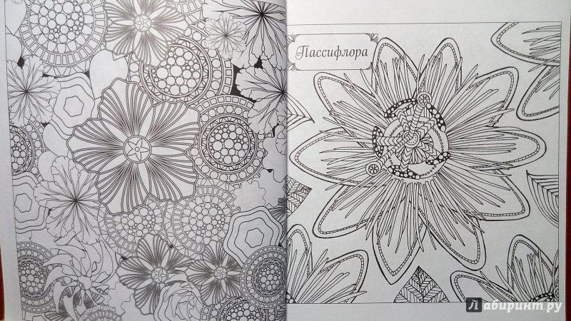 Иллюстрация 21 из 34 для Я люблю раскрашивать цветы | Лабиринт - книги. Источник: Alenta  Valenta
