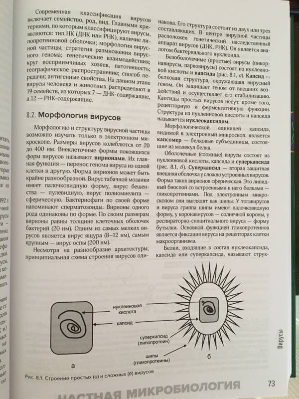 Иллюстрация 37 из 40 для Медицинская микробиология и иммунология. Учебник - Мальцев, Пашков | Лабиринт - книги. Источник: Игра:)