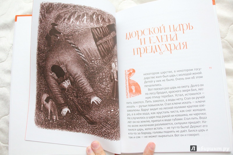 Иллюстрация 19 из 43 для Белая лебедушка | Лабиринт - книги. Источник: Александрова  Наталья