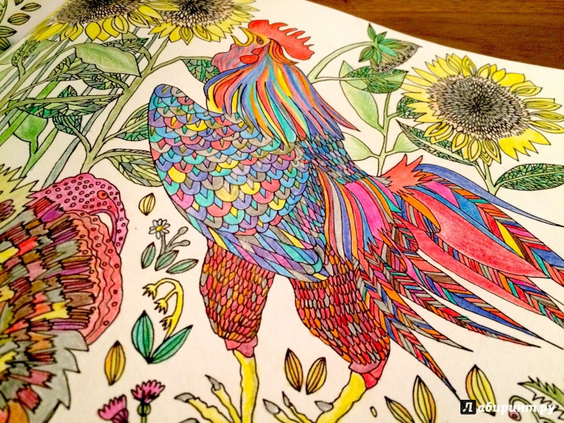 Иллюстрация 13 из 46 для Птицы счастья. Раскрась свой мир и добавь жизни цвета | Лабиринт - книги. Источник: Сташевская  Гита Нонна