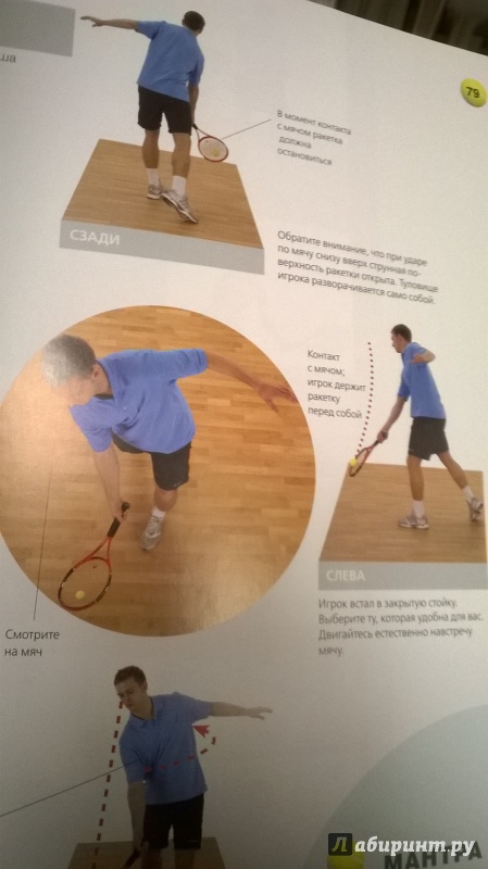 Иллюстрация 14 из 15 для Теннис. Школа мастерства - Литлфорд, Маграт | Лабиринт - книги. Источник: Елена