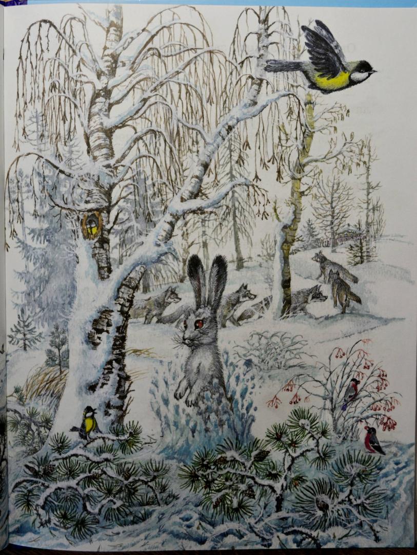 Иллюстрация 12 из 55 для Синичкин календарь - Виталий Бианки | Лабиринт - книги. Источник: созерцатель