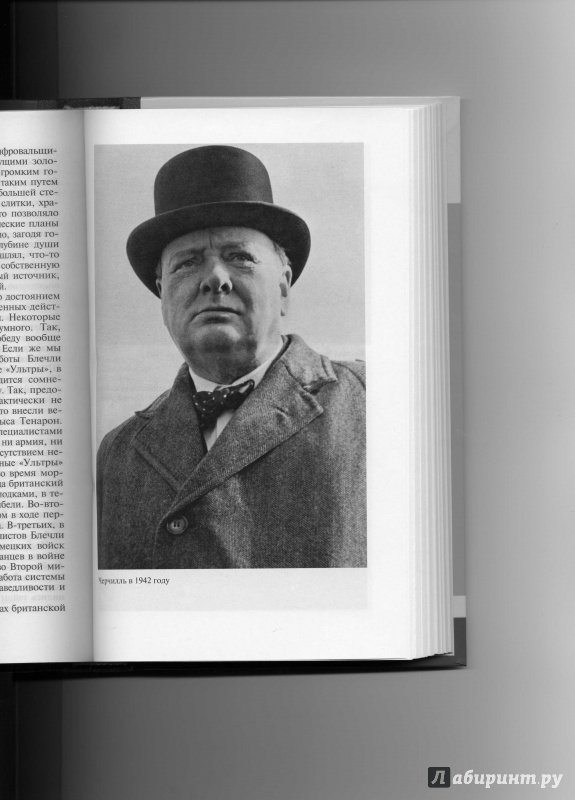 Иллюстрация 14 из 21 для Черчилль - Франсуа Бедарида | Лабиринт - книги. Источник: Колхозstyle