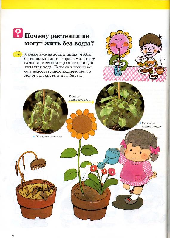 Иллюстрация 3 из 6 для Удивительные растения | Лабиринт - книги. Источник: РИВА
