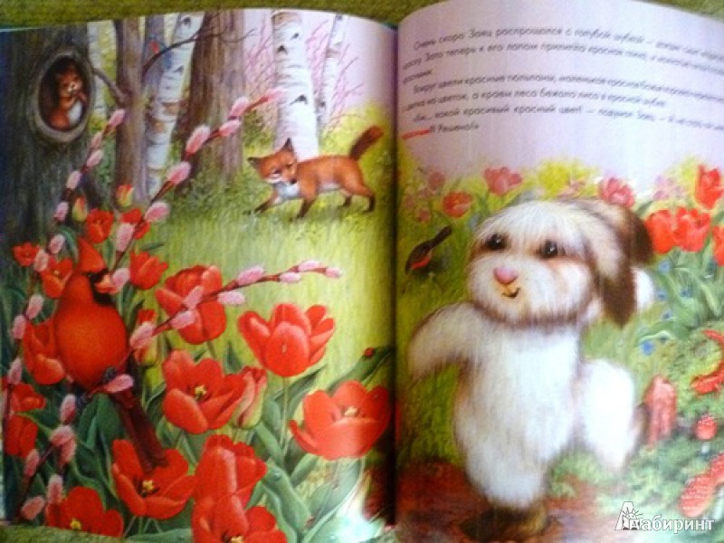 Иллюстрация 4 из 14 для Заяц-чудак и его разноцветные шубки - Лиза МакКью | Лабиринт - книги. Источник: alex-sandr