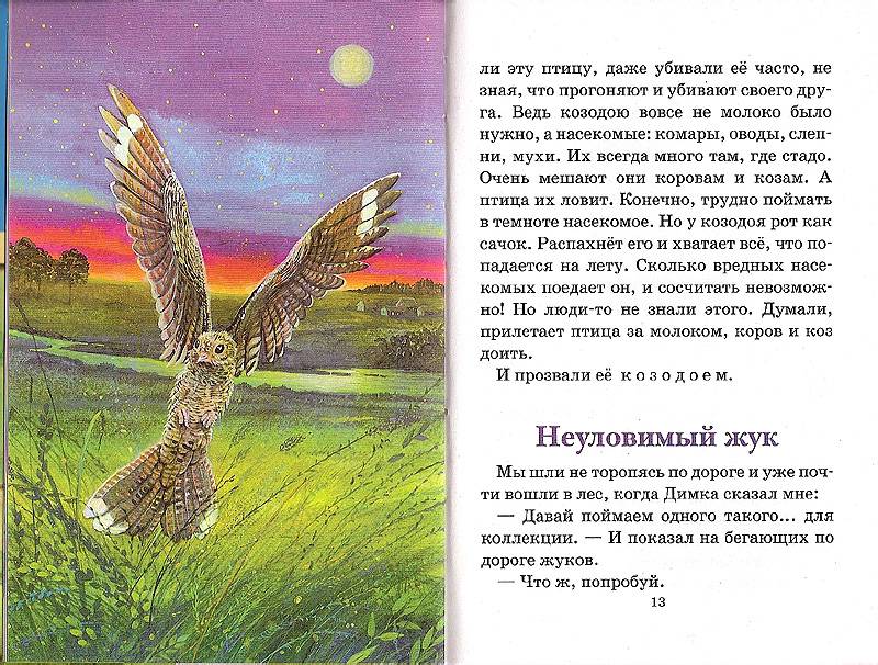 Иллюстрация 9 из 15 для Лесные загадки - Юрий Дмитриев | Лабиринт - книги. Источник: tusya