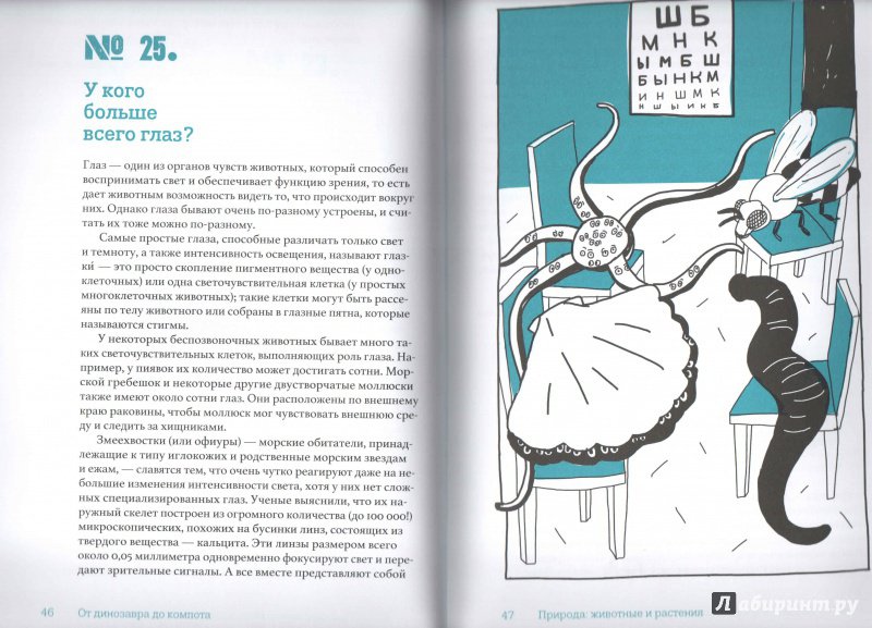 Иллюстрация 6 из 34 для От динозавра до компота. Ученые отвечают на 100 (и еще 8) вопросов обо всем | Лабиринт - книги. Источник: Кособокова  Екатерина Николаевна