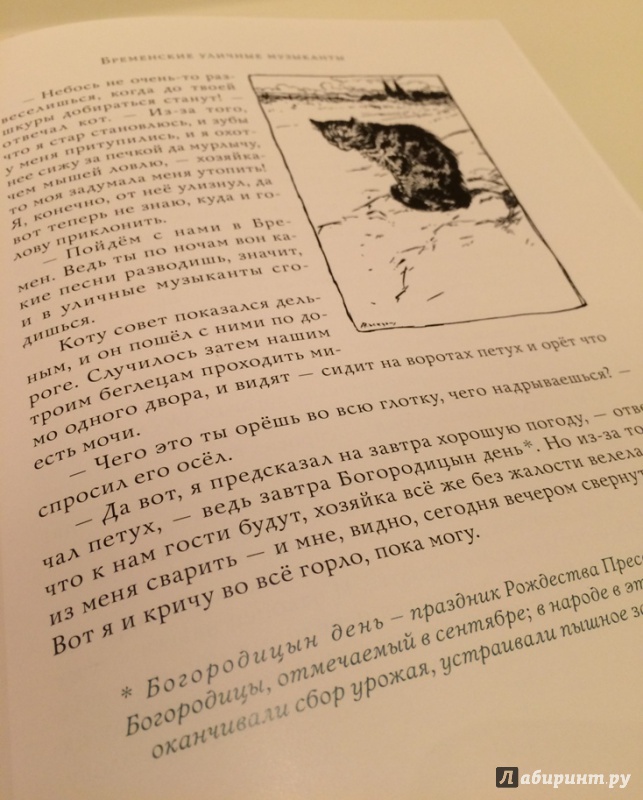 Иллюстрация 41 из 59 для Шиповничек и другие сказки - Гримм Якоб и Вильгельм | Лабиринт - книги. Источник: Андрей