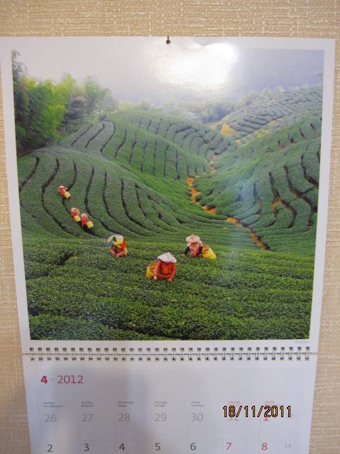 Иллюстрация 6 из 12 для Календарь-органайзер 2012: Чай | Лабиринт - сувениры. Источник: Кузька и мать