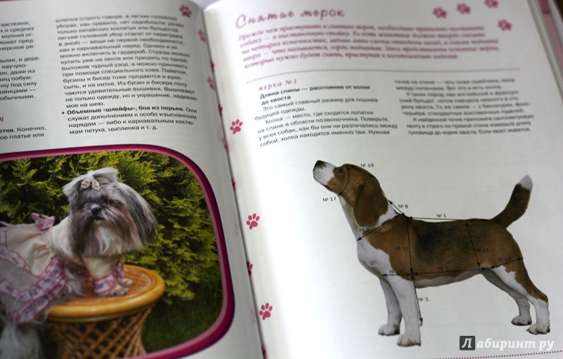 Иллюстрация 11 из 28 для Одежда для собак + выкройки - Макарова, Елизарова | Лабиринт - книги. Источник: Лабиринт