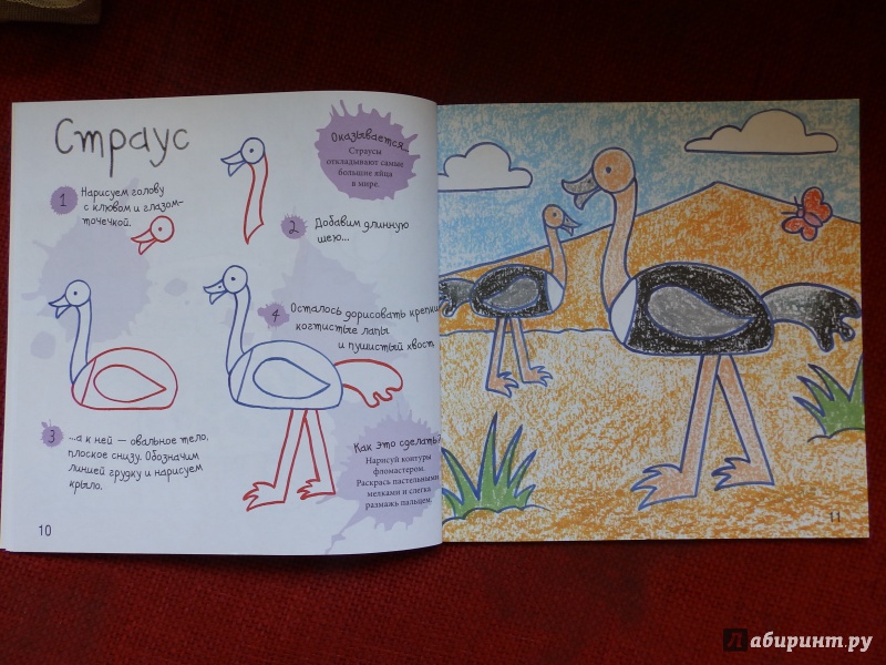 Иллюстрация 7 из 36 для Как нарисовать зебру и других животных - Марк Берджин | Лабиринт - книги. Источник: taxik