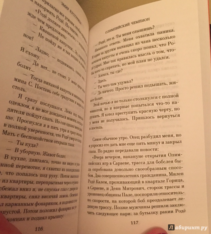 Иллюстрация 7 из 8 для Сто бед - Кустурица | Лабиринт - книги. Источник: Римская-Корсакова  Анастасия