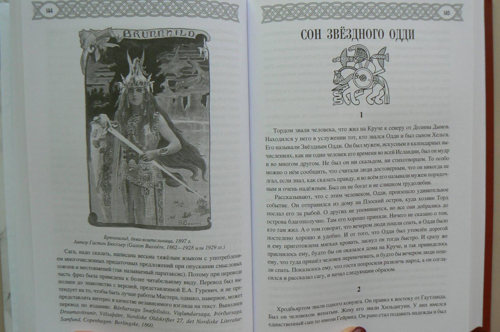 Иллюстрация 12 из 32 для Саги о богах, героях и скальдах Исландии - Сеничев, Топчий | Лабиринт - книги. Источник: Лидия