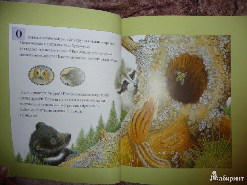 Иллюстрация 4 из 10 для Чудо-наклейки. Кто живет в лесу - Морис Пледжер | Лабиринт - книги. Источник: Anyta23
