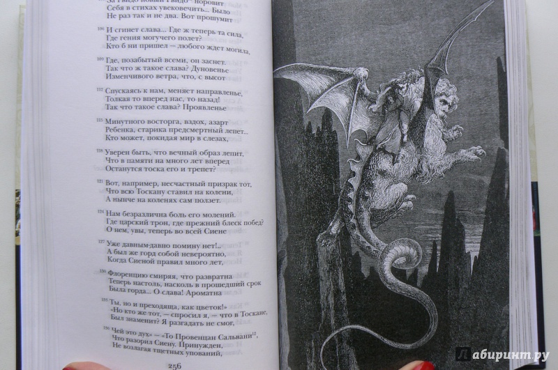 Иллюстрация 24 из 41 для Божественная комедия - Данте Алигьери | Лабиринт - книги. Источник: Марина