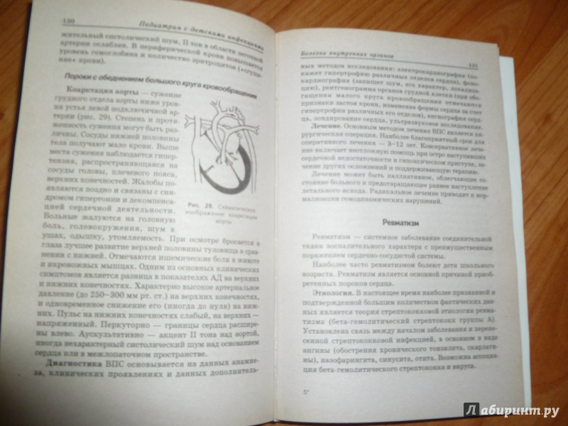 Иллюстрация 3 из 5 для Педиатрия с детскими инфекциями - Соколова, Тульчинская | Лабиринт - книги. Источник: Sotan