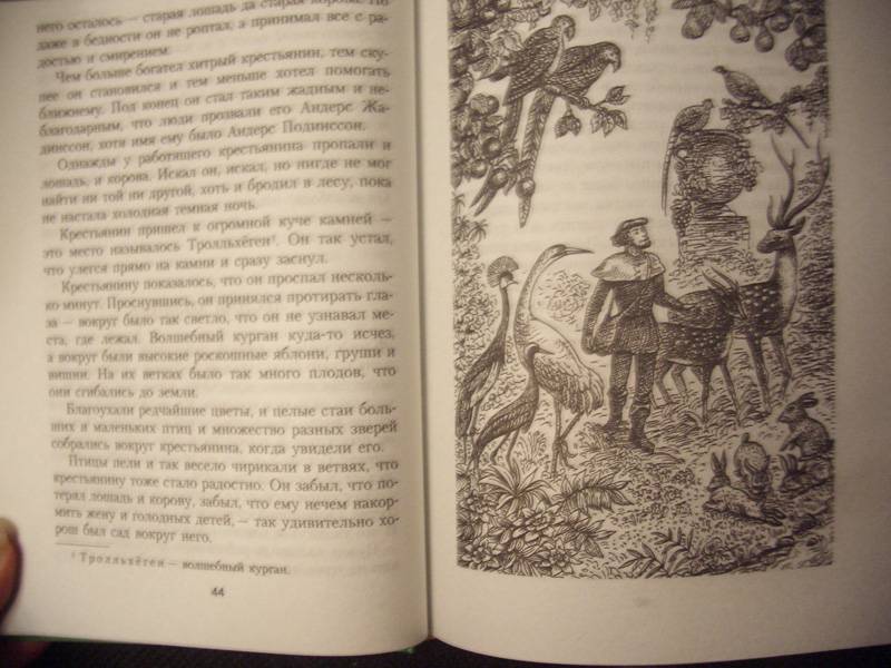 Иллюстрация 4 из 9 для Сказки о троллях, ведьмах и колдунах | Лабиринт - книги. Источник: unnamed