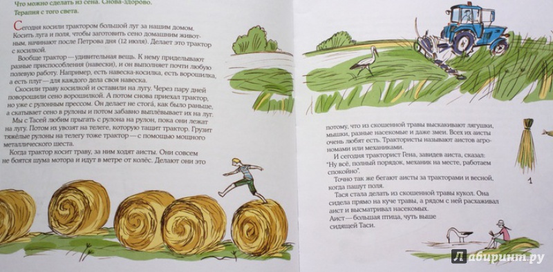 Иллюстрация 27 из 87 для Лето в Деревне - Зина Сурова | Лабиринт - книги. Источник: Mila