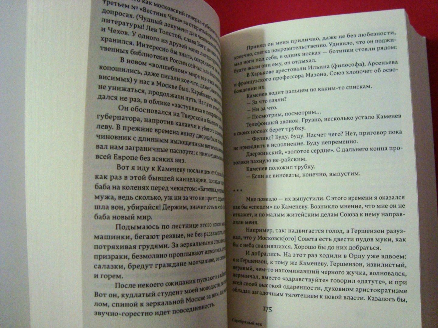 Иллюстрация 7 из 15 для Утешение книг. Вновь о писателях. Очерки, эссе, воспоминания - Борис Зайцев | Лабиринт - книги. Источник: Чародейница