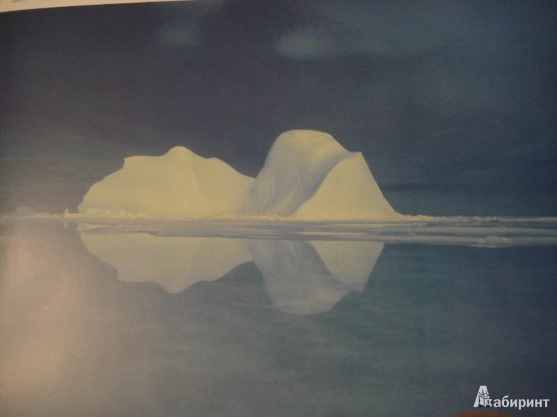 Иллюстрация 1 из 11 для Мир в картинках. Арктика и Антарктика. 3-7лет. | Лабиринт - книги. Источник: Lubochka