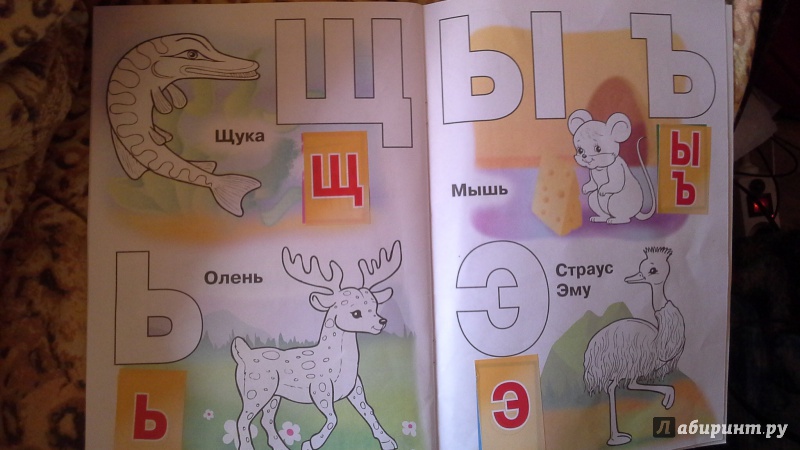 Иллюстрация 8 из 13 для Азбука с наклейками "Такие разные животные" | Лабиринт - книги. Источник: Теплова  Юлия