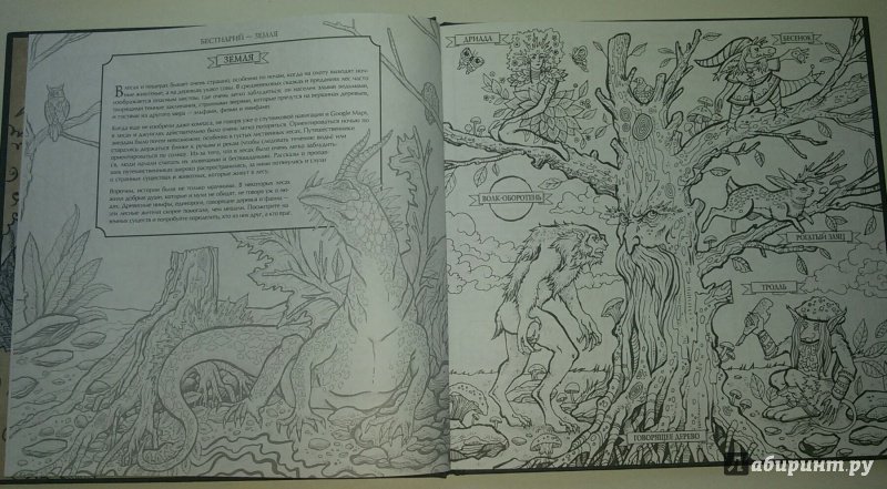 Иллюстрация 15 из 49 для Фантастические существа. Книга-раскраска | Лабиринт - книги. Источник: Маркона