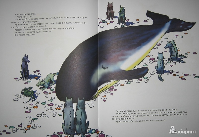 Иллюстрация 4 из 51 для Морские сказки - Святослав Сахарнов | Лабиринт - книги. Источник: Трухина Ирина