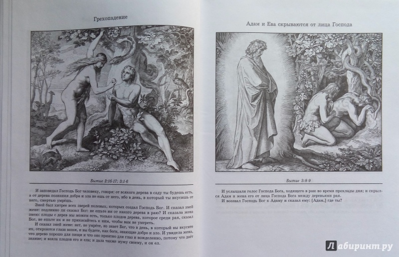 Иллюстрация 34 из 38 для Библия в иллюстрациях - Карольсфельд Юлиус Шнорр фон | Лабиринт - книги. Источник: Люда Мила