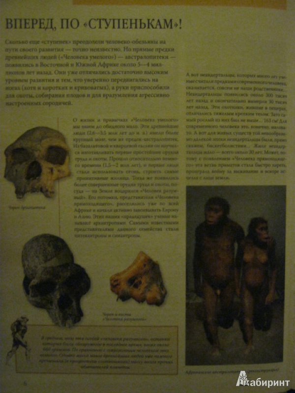 Иллюстрация 3 из 14 для Анатомия и физиология человека - Яна Батий | Лабиринт - книги. Источник: Евгения39