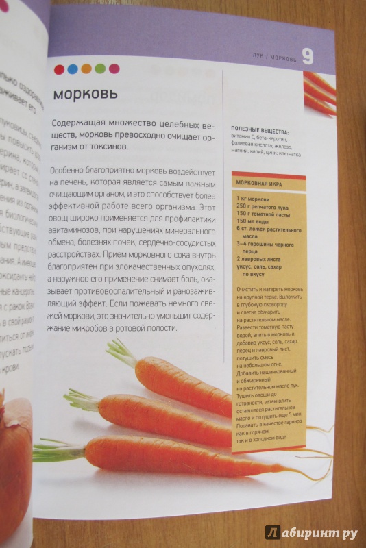 Иллюстрация 8 из 11 для Овощная аптека. Лекарственные свойства овощей | Лабиринт - книги. Источник: Hitopadesa