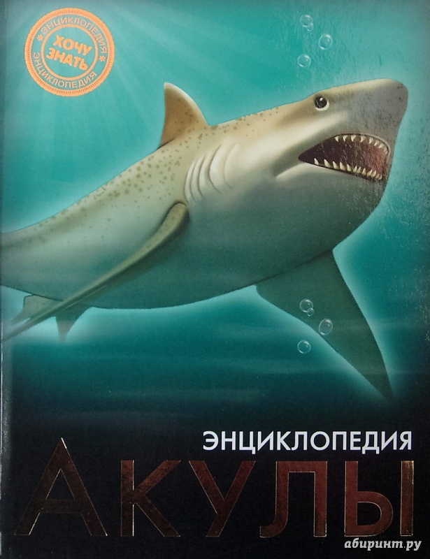 Иллюстрация 7 из 37 для Акулы | Лабиринт - книги. Источник: Соловьев  Владимир