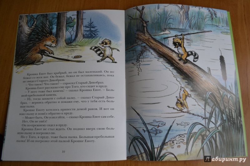 Иллюстрация 44 из 97 для Крошка Енот и тот, кто сидит в пруду - Лилиан Муур | Лабиринт - книги. Источник: Alice R