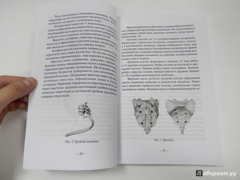 Иллюстрация 6 из 7 для Ария для спины. Авторская программа против боли в суставах - Анатолий Ситель | Лабиринт - книги. Источник: dbyyb