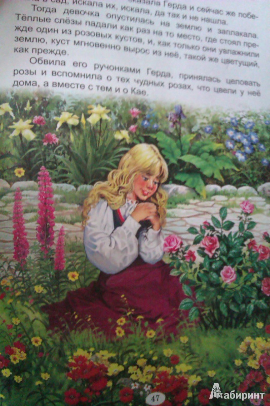 Иллюстрация 24 из 32 для Снежная королева - Ханс Андерсен | Лабиринт - книги. Источник: B