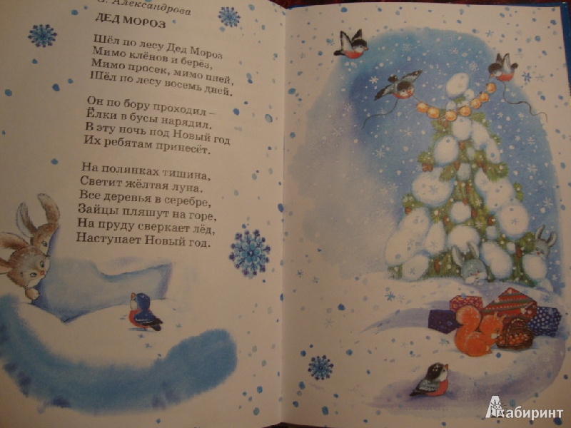 Иллюстрация 4 из 19 для Маленькой ёлочке холодно зимой | Лабиринт - книги. Источник: koshkindom
