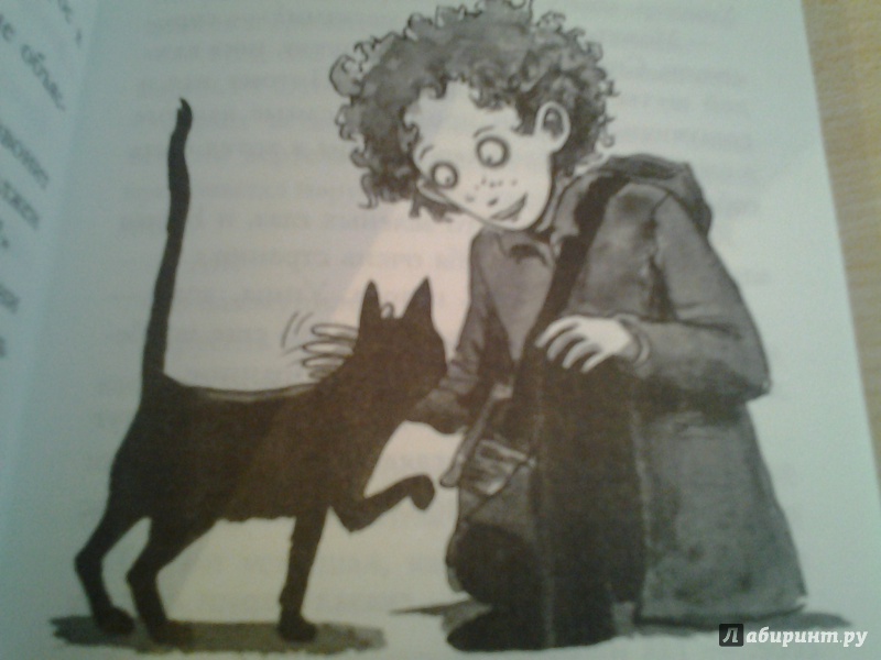 Иллюстрация 8 из 29 для Быть котом - Мэтт Хейг | Лабиринт - книги. Источник: КошкаПолосатая